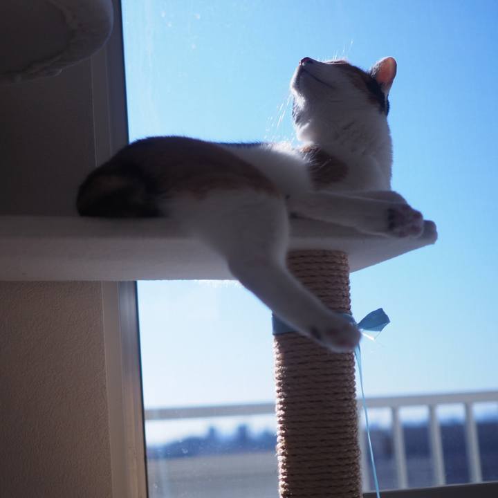 B8d12e01 d6b8 4c85 a053 355b3230b2e3 1515970985300