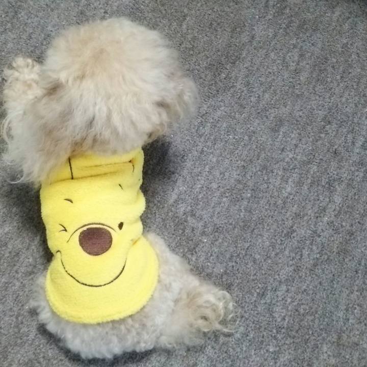 B8d16387 6013 46d9 8862 2a18306ea033 1538049736483