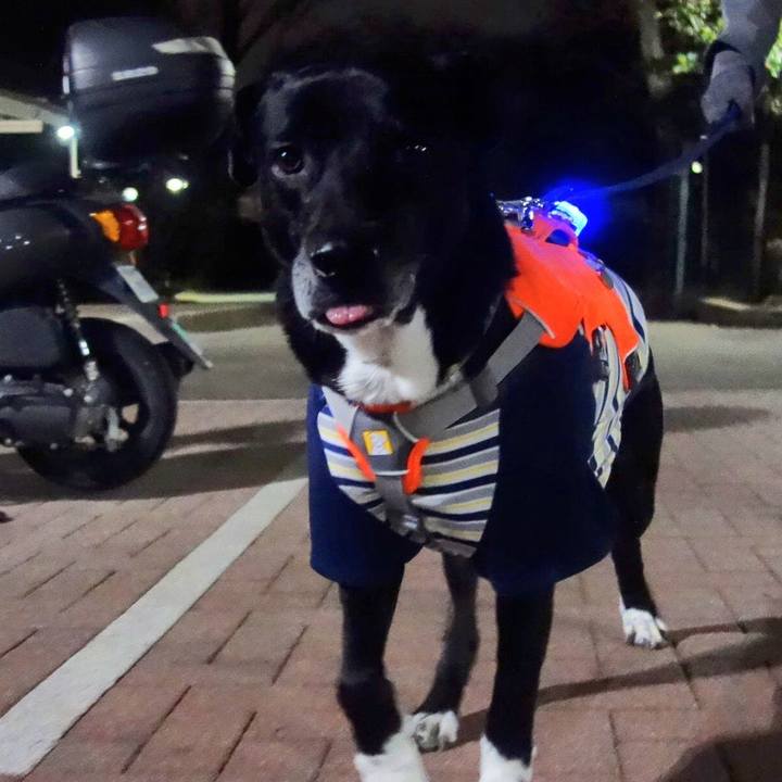 B8d1857c d740 4e4f 8812 7f85399a65d3 1709809181569