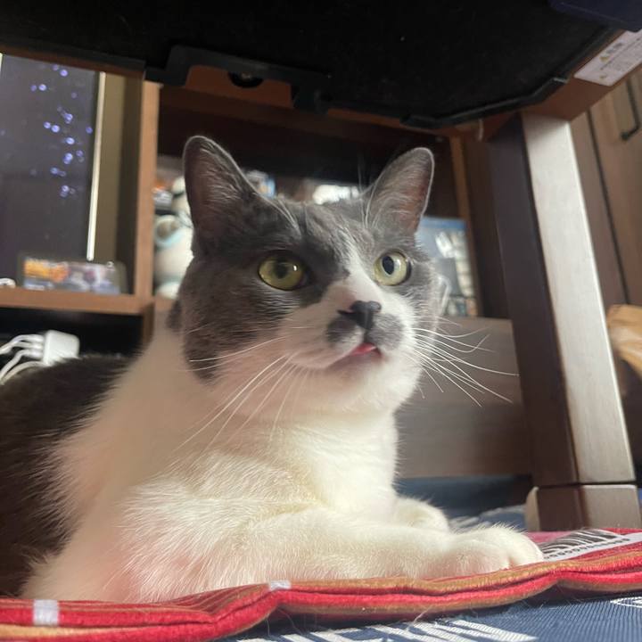 B8d18e75 0a6b 4b5b b18d 61f31cc89895 1722479265482