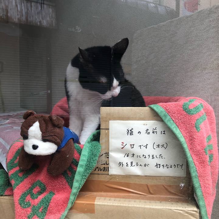 B8d1974b 8cb3 4613 810a b19c76c6fe01 1626244855460