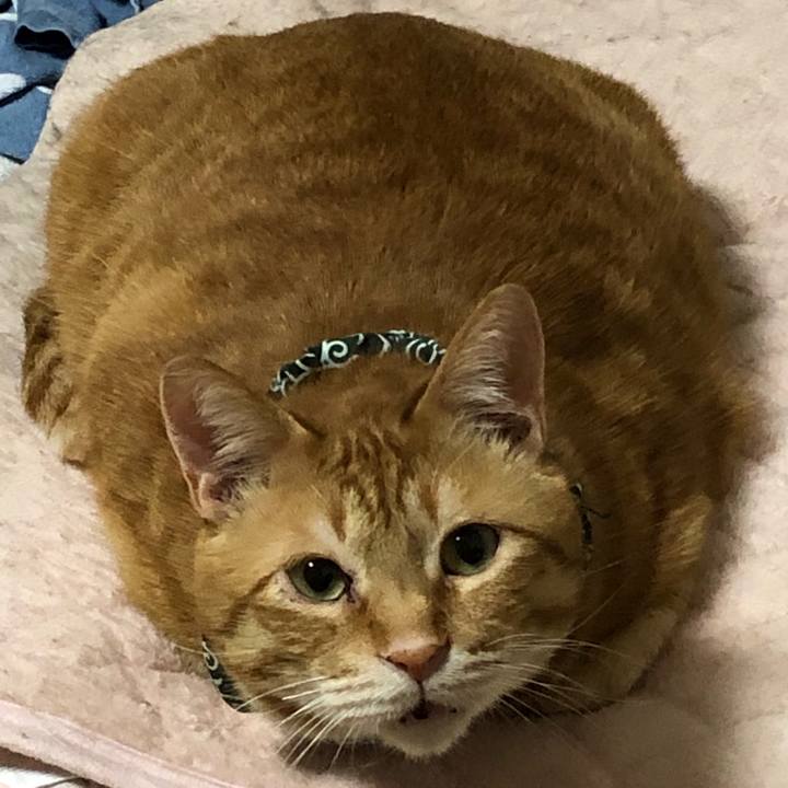 B8d1b190 9b16 4f98 85f9 b2135820d75b 1556680652151