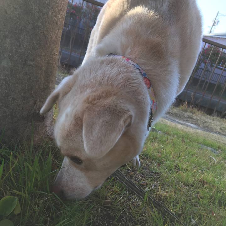 B8d1b47d aa6a 42c7 b91a 39f31dc70ad7 1516231434855