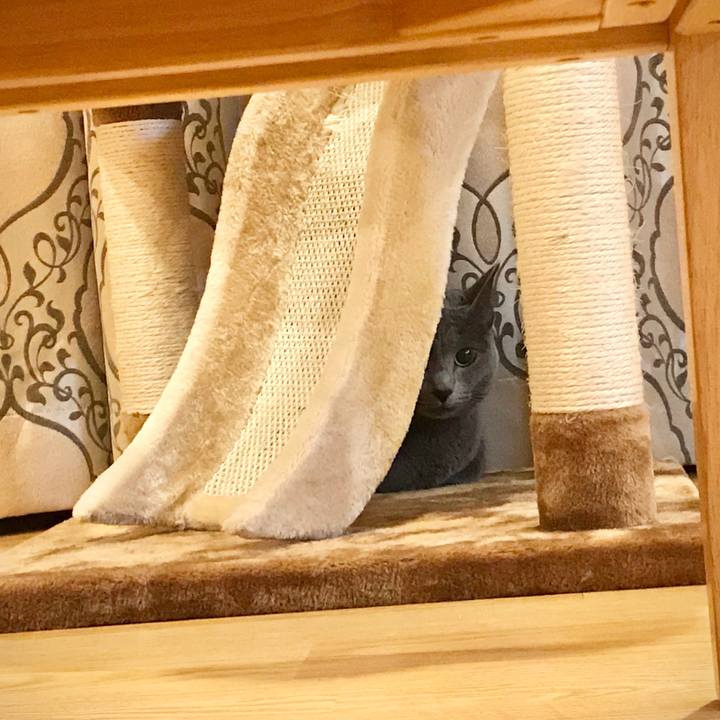 B8d1db4c 830f 4d87 a68a 3ade3d6650cd 1575974665434