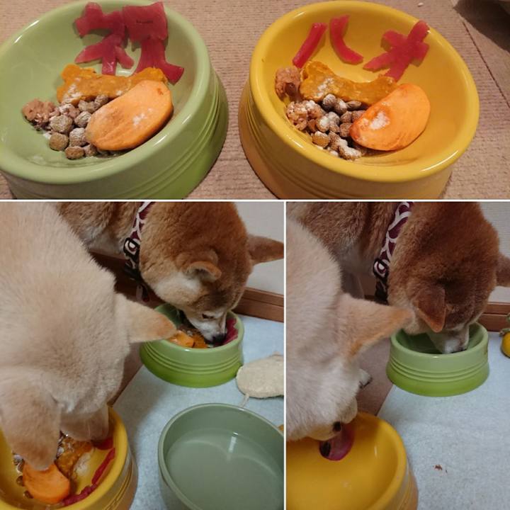 B8d217c5 cd17 4e9f a6af c71a7a5cbe35 1514122689104