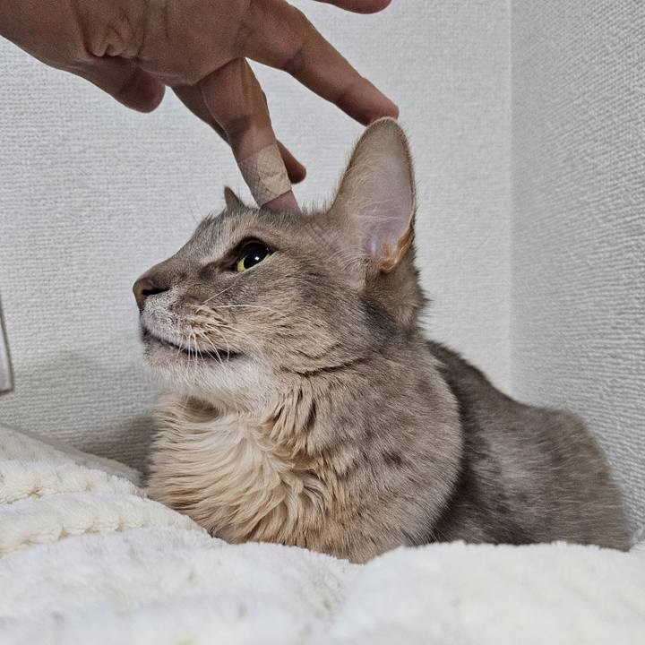 B8d21e8d f84a 412f 8394 ab2a539202c3 1738899998949