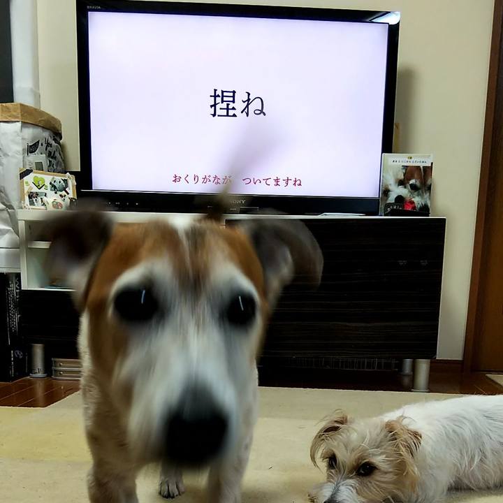 B8d22369 1baf 4968 ad01 fe036dc55b14 1554158067598