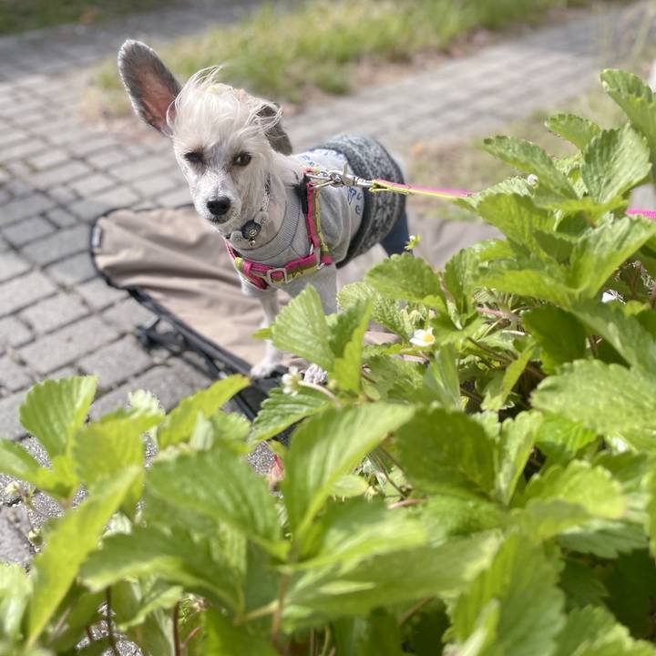 B8d233ad 8ee9 4d02 9351 48c92e2359a8 1761552415360