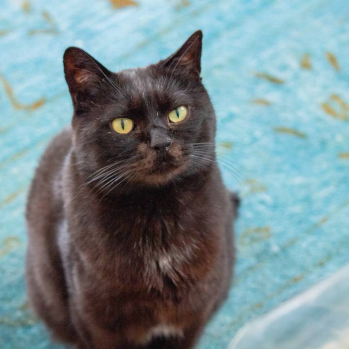 B8d23409 0b7c 44c3 86ab af942d715fc2 1770168395163