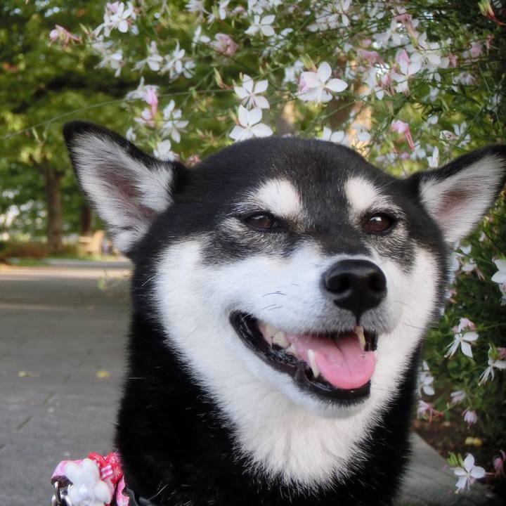 B8d23767 0a81 4b60 94c7 218ca84c896f 1535253674880