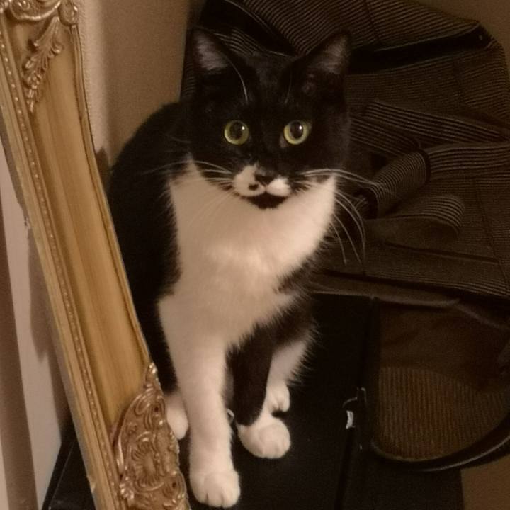 B8d2491a d288 4d13 abda 2233e2a24c84 1553704229309