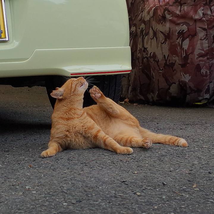 B8d2b6e3 5afb 499a a72c 1f25b78f2cde 1530750720340