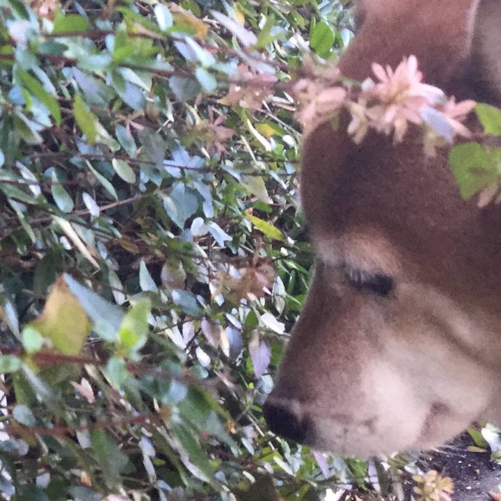 B8d2b97e 3ee1 4f74 a97f d656b39c5f31 1579405833674