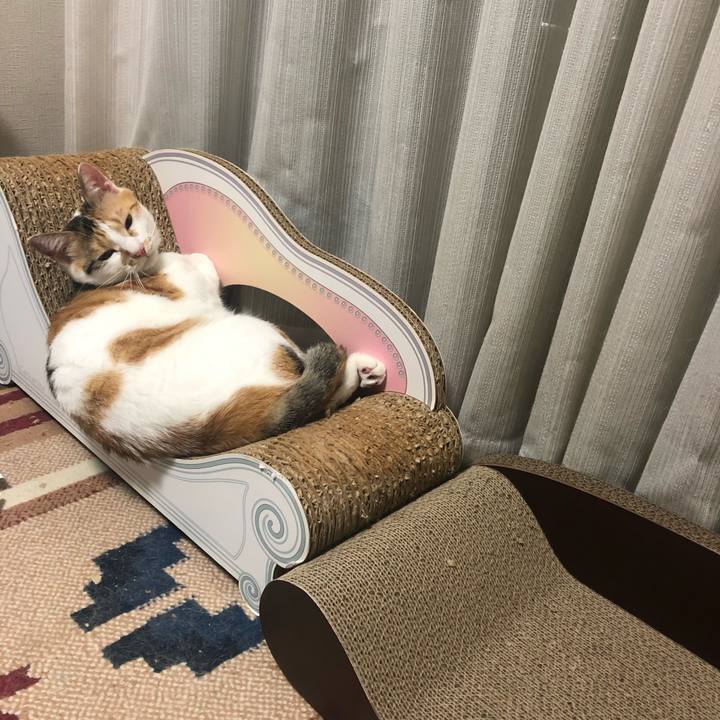 B8d2cbeb 84eb 4074 8a5e 343489cf5731 1597491241203