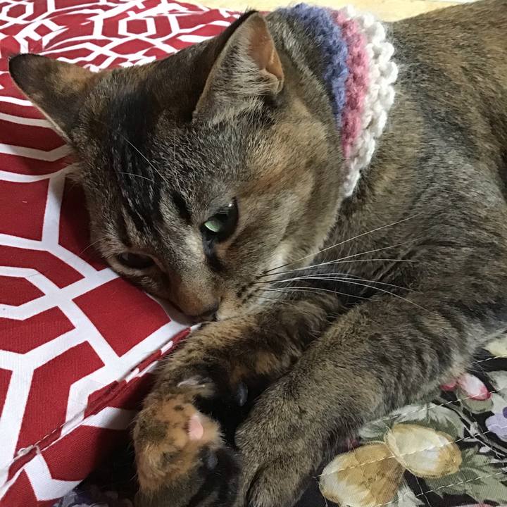 B8d30e45 7a7a 4bbe 88c7 93724deb181d 1620172810952