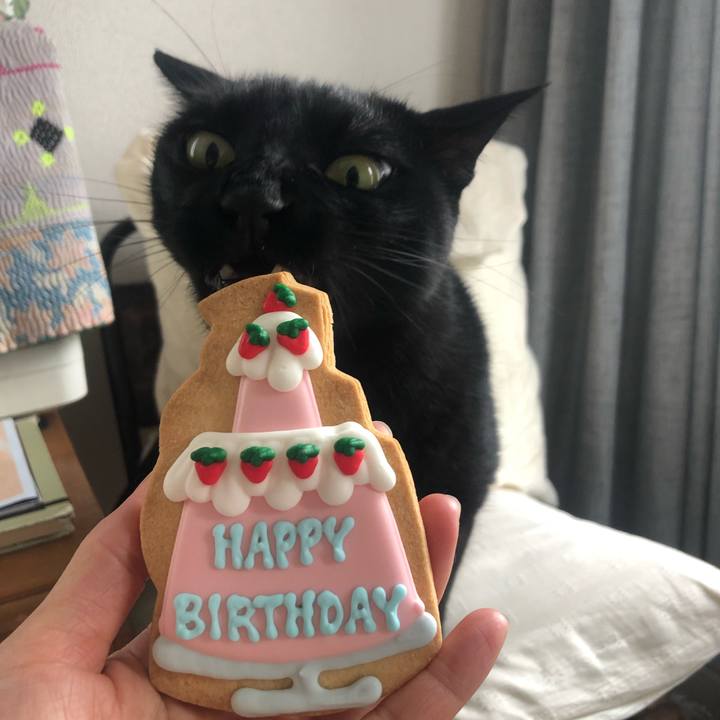 B8d313c7 966d 4e31 ae1b 09c4600f60aa 1625565830430