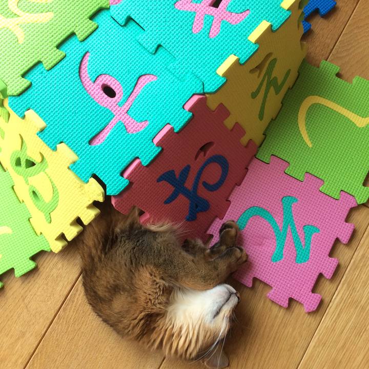 B8d3405d 1960 4cfd 851d 7e23a37be8f3 1566106373654