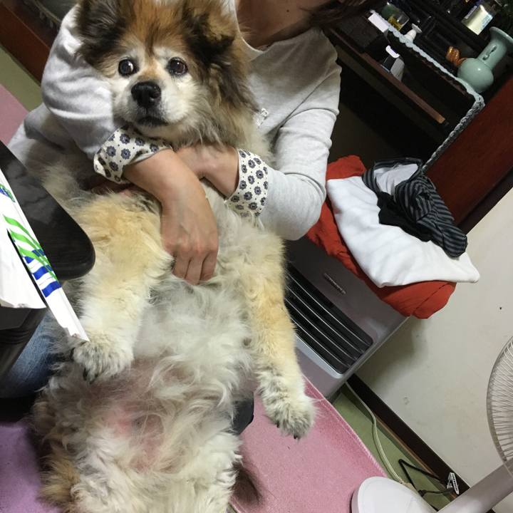 B8d37ae7 e1f7 451a 9161 74492e122137 1585073260507