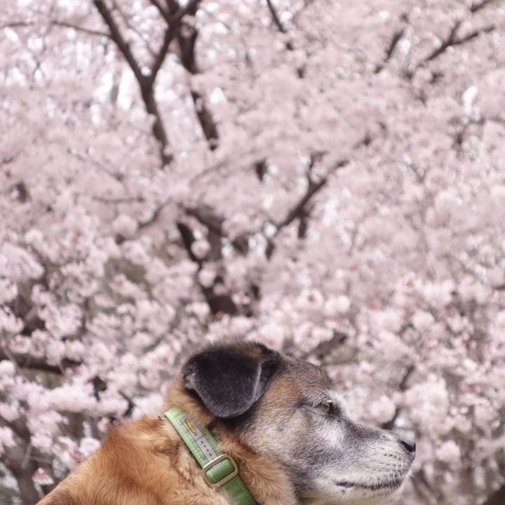 B8d37cf7 6220 40a4 a9fc 47903527750a 1711760094438