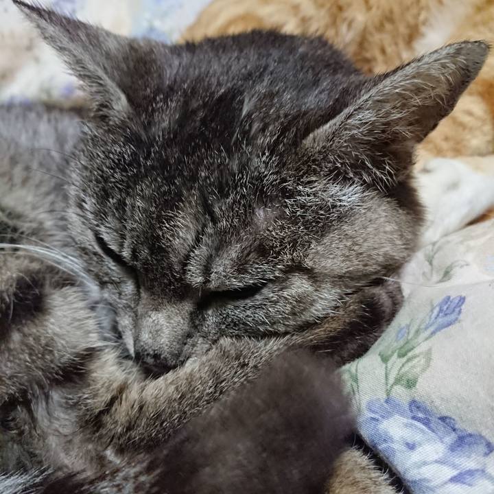 B8d3b1f0 ef40 4a1a a92d 8892a2b79e5d 1587790487428