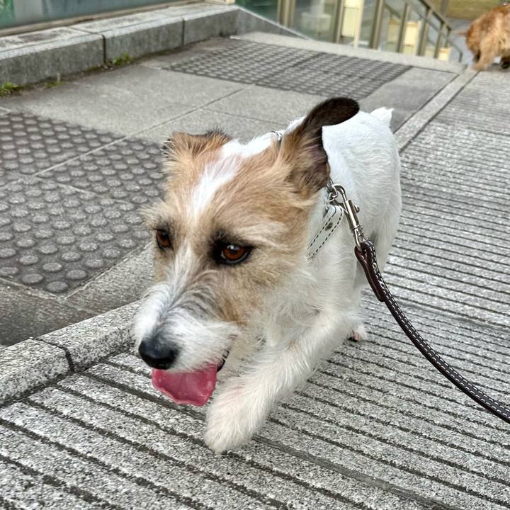 B8d3bd79 11d5 44d9 8e88 c024bd410852 1716731595642