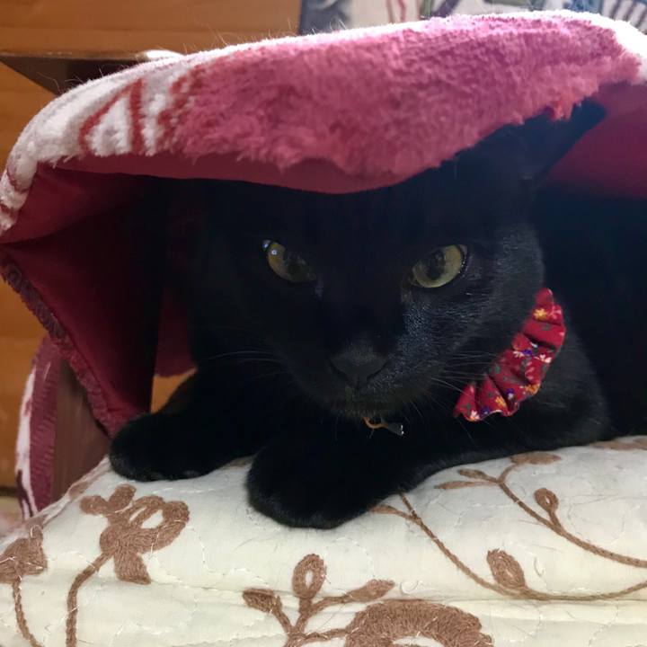 B8d3de37 657a 4eb6 a7aa f6d2c332a58d 1542597665796