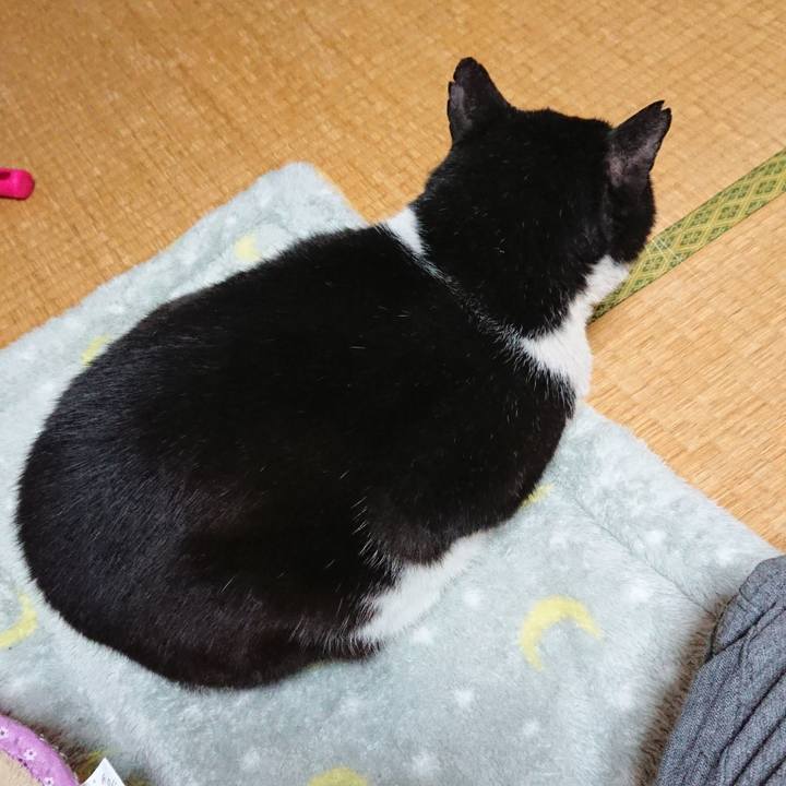 B8d3e9b9 c590 4f82 8b74 f5b648acd0f4 1544672874179