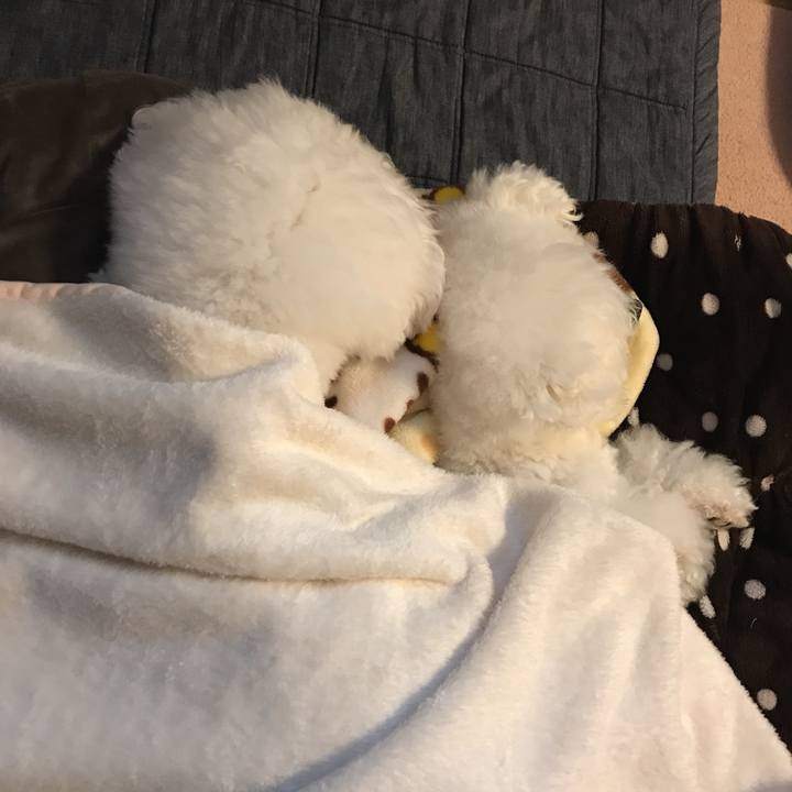 B8d40274 7bf2 46e3 8b82 cb4db69afb3a 1577322718984