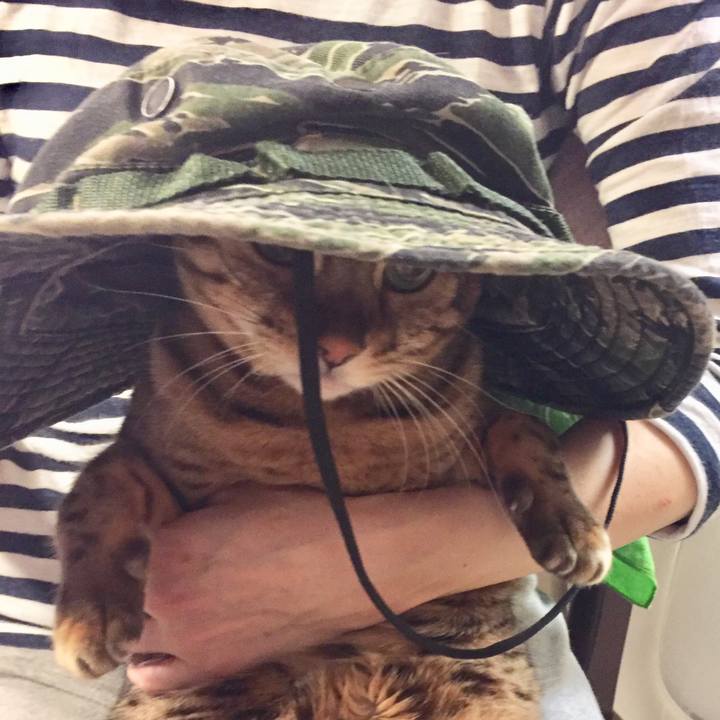 B8d4068e 84c0 44d6 9659 22f32f5e8cc1 1540079550224