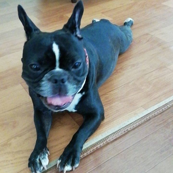 B8d42b5d ff5f 417f a233 a92a3bc3946b 1532060019223