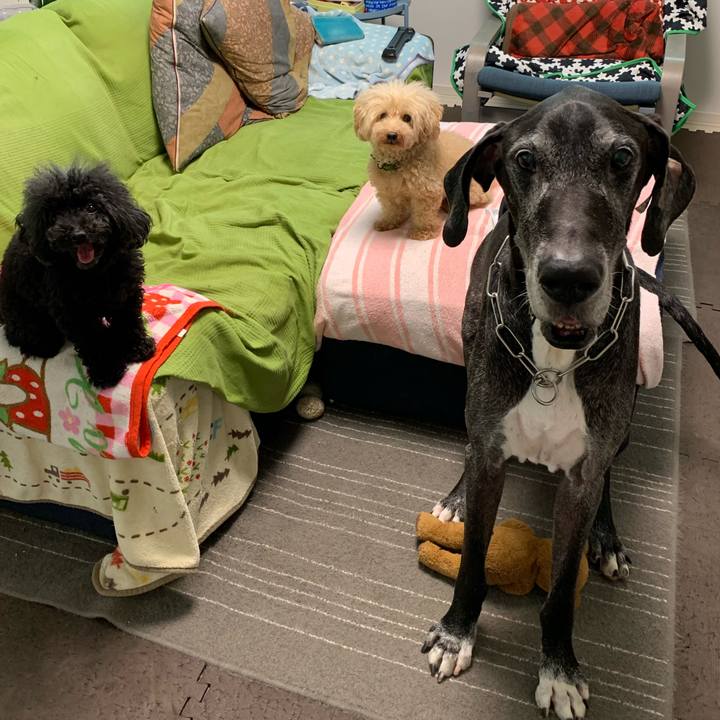 B8d48672 fa8d 40b4 bf26 fb51a0bc2319 1600295660566