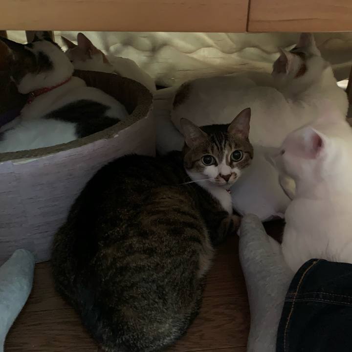 B8d4ab0b d21f 4767 b1fe 230b9f0323ef 1575785983143