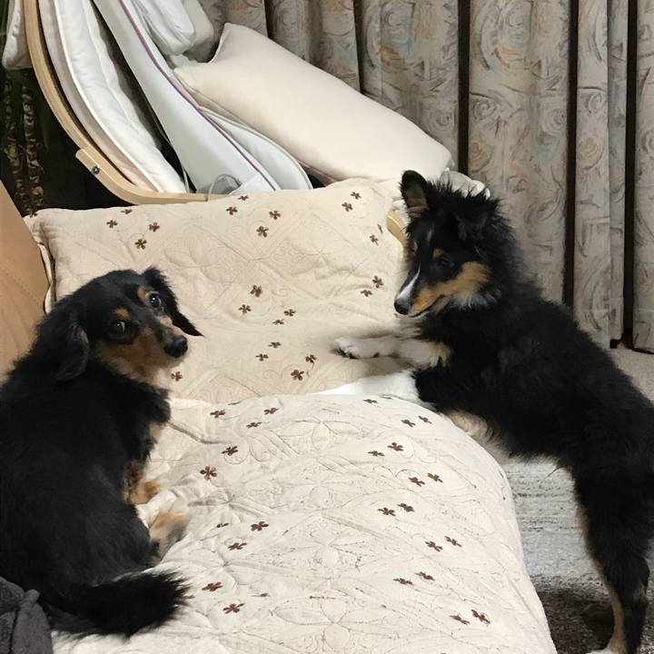 B8d4beeb b98b 4782 8a48 552c7dd6b9aa 1514499755538