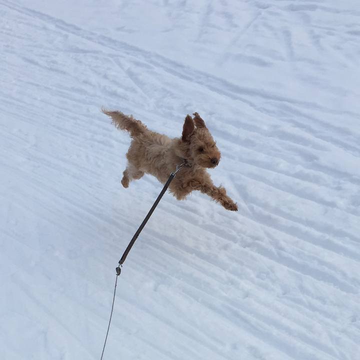 B8d4ecfa 5c0c 458a af74 b5f70d411ee4 1514074835289