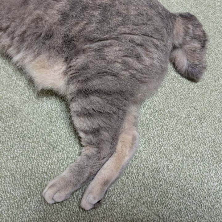 B8d4ef83 85b3 4fc5 b1bc cc962f0bfb7e 1763163683117