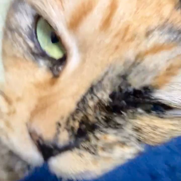 B8d4f6ca 8d07 4865 9026 28d821cb9710 1737233297106