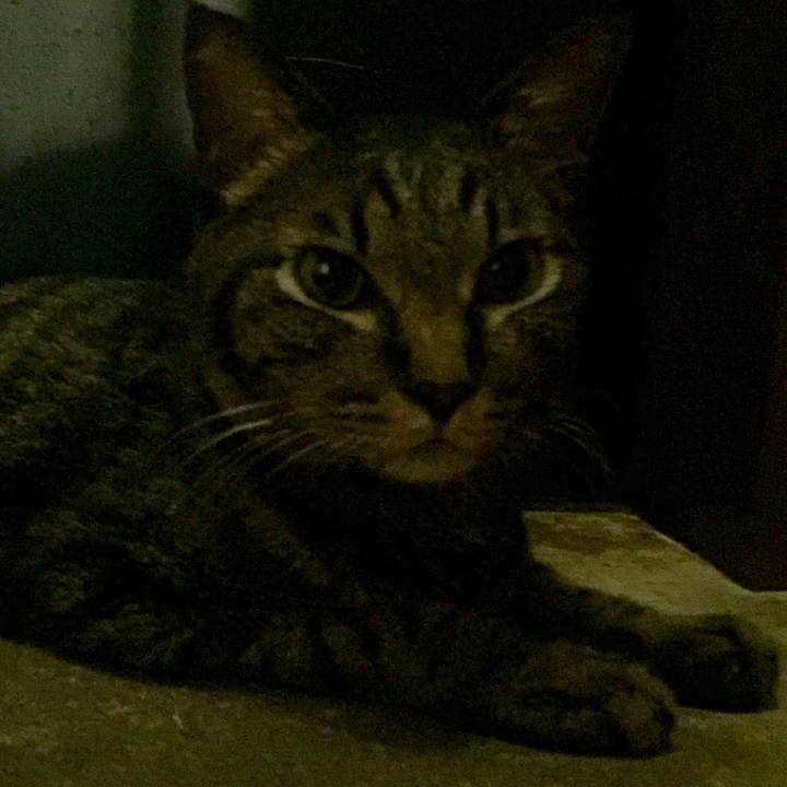 B8d4fc2e 27f0 4218 9e38 83aca06599fd 1533987108131