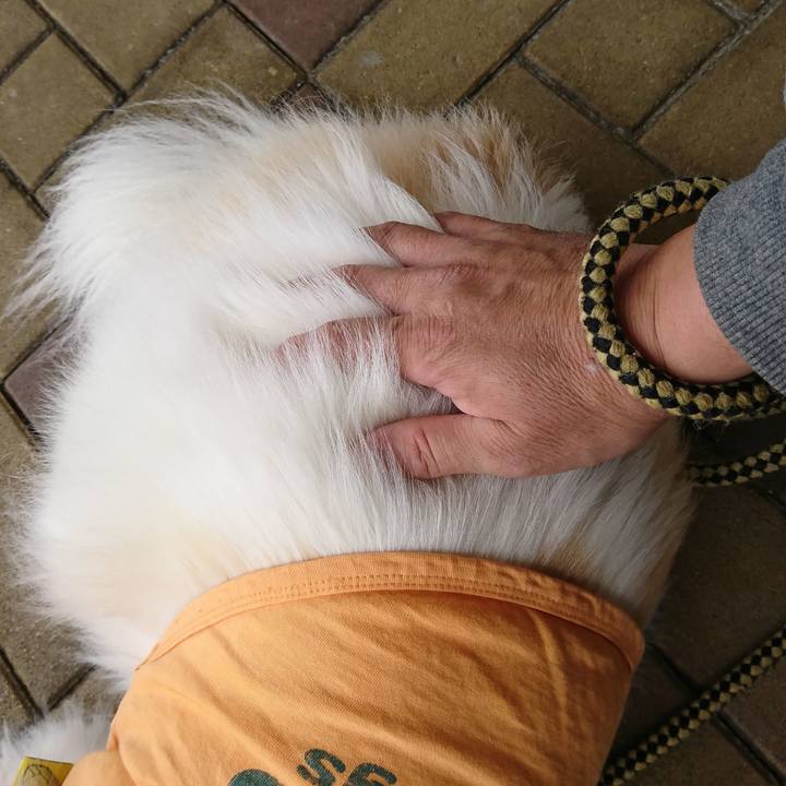 B8d54aad ccf2 447e 8544 e9ff3059dac0 1524630021170