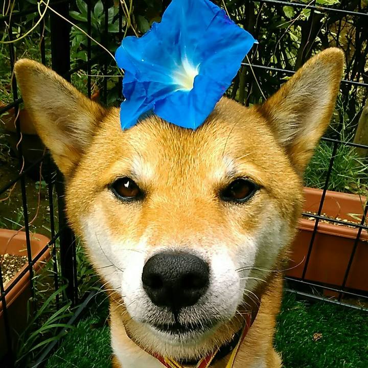 B8d5d664 81a5 4576 a392 6a21c7844232 1536538710679