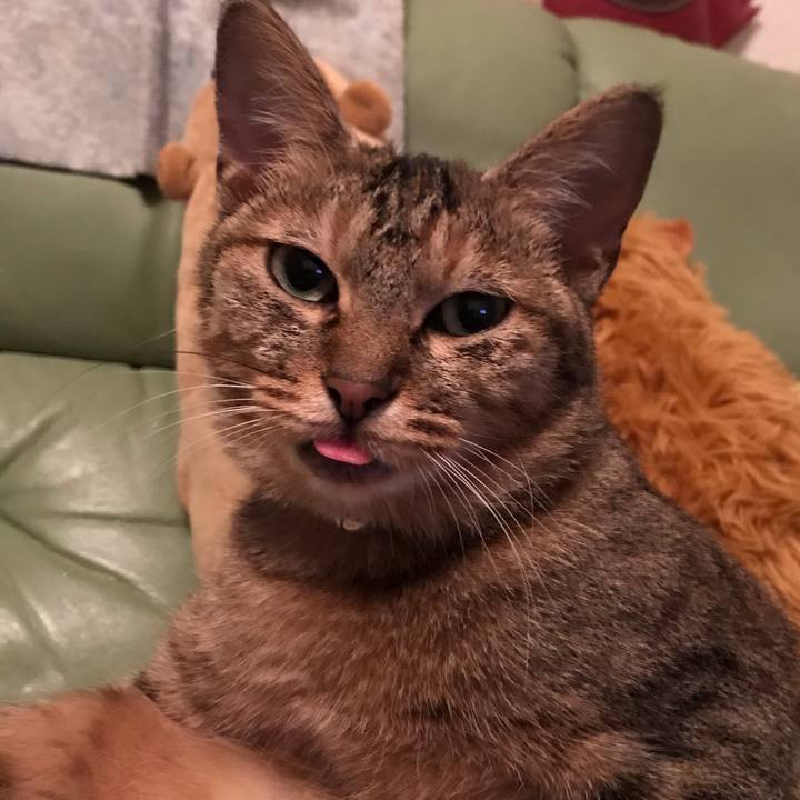 B8d5ddd8 9760 4452 925d f88ba647ab4d 1571233060366