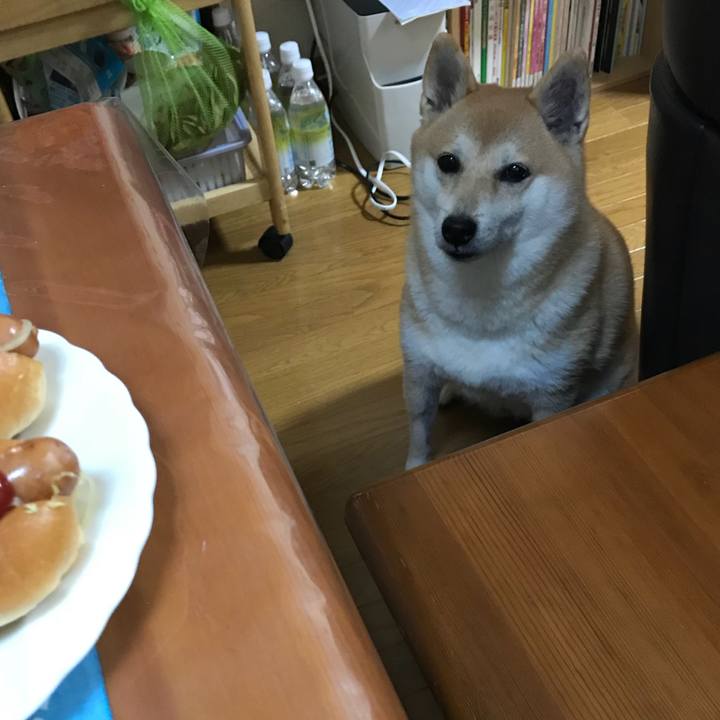 B8d5ef27 c172 4c9c 9789 8cbe1b5fdc69 1508990487507