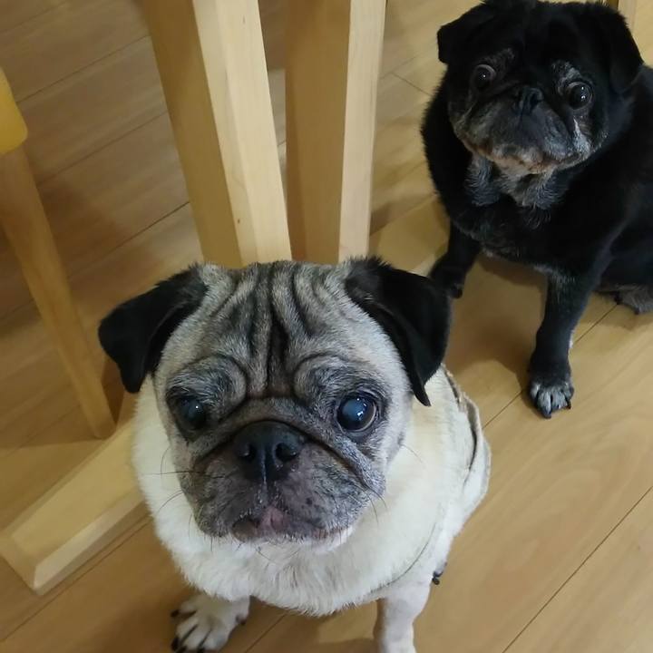 B8d5f787 8b4b 4d32 9ddb b27f12a21982 1591310768938