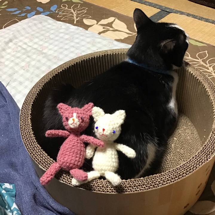 B8d65ba7 1a1e 4cfe b408 e52c45a2f5fa 1742818878818