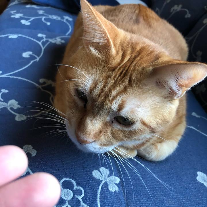 B8d665d0 04f6 4e4b a2fa 63a9273d2c11 1570091572065