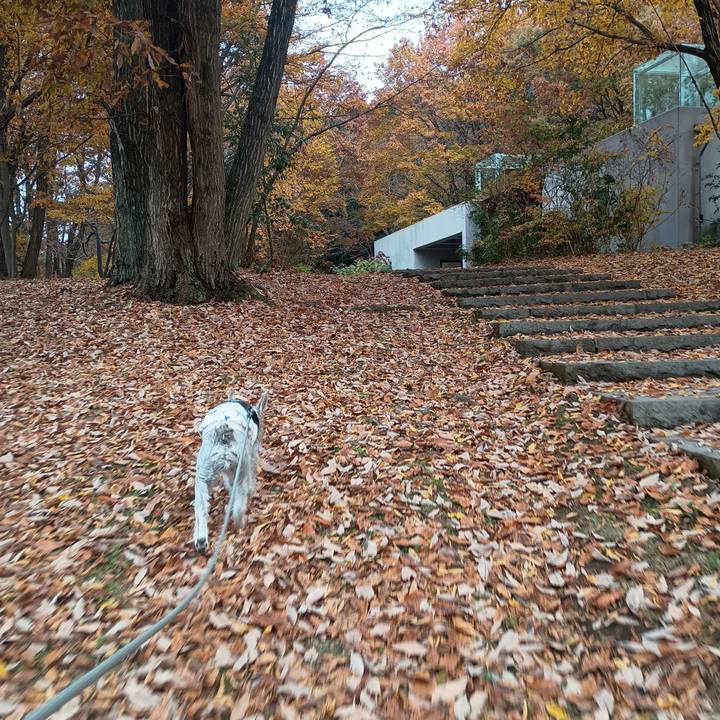 B8d680d6 8062 433a 8897 dd6f89e73fb2 1764075108719