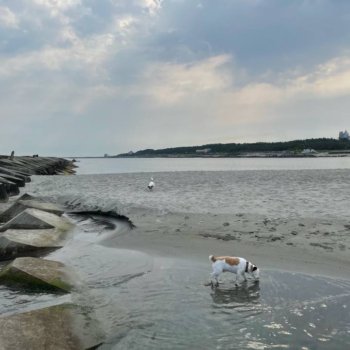 B8d6a139 bfaa 45d9 947f e817b98790ba 1623021835225