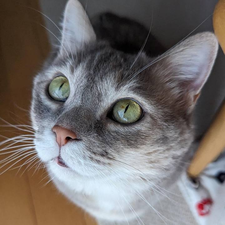 B8d6a799 8b72 454e b51f 1a638e02d509 1695612515190