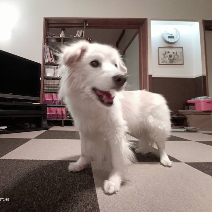 B8d6acbe c155 476d a562 8a67eb1db428 1755177454802