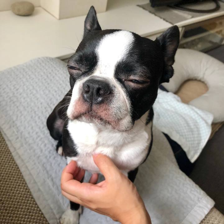 B8d6ca3f 6cef 4235 9b64 cc82d34be145 1565653000961