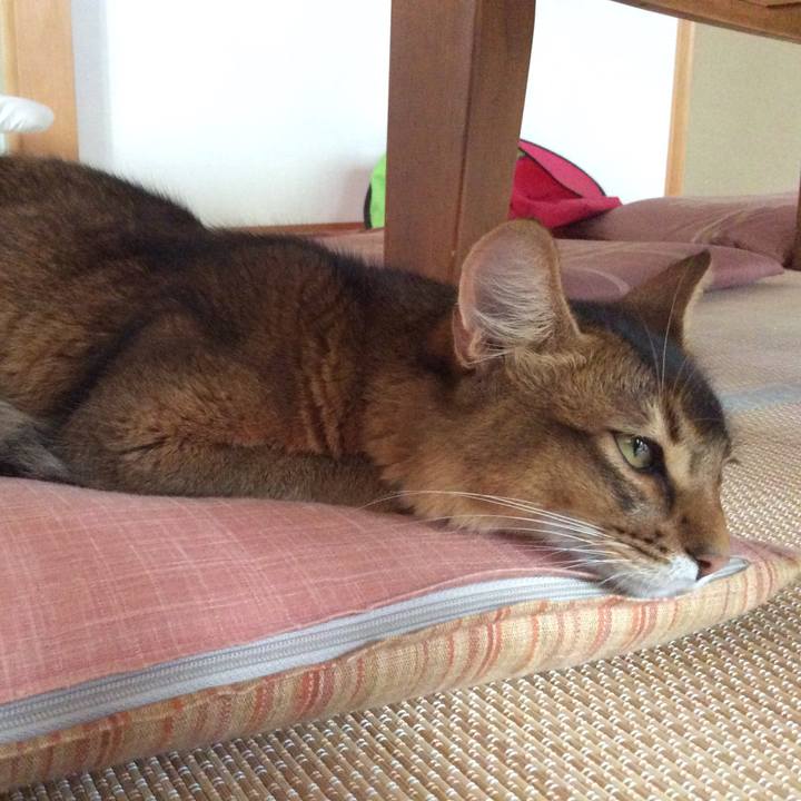 B8d6d911 2f22 4b6f b693 381b83aaaac6 1567035013850